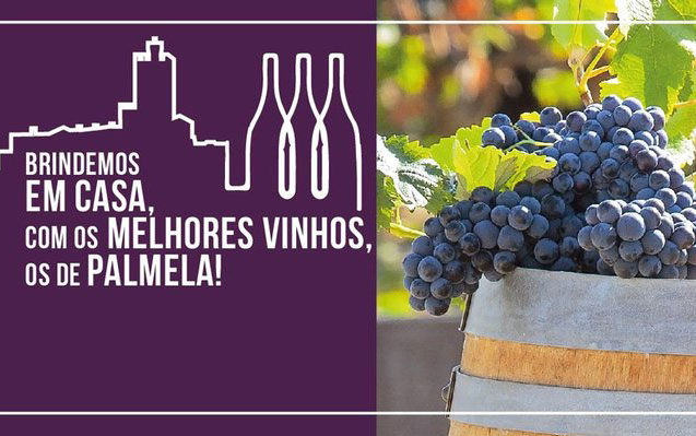 Brindemos em casa com os melhores vinhos, os de Palmela!